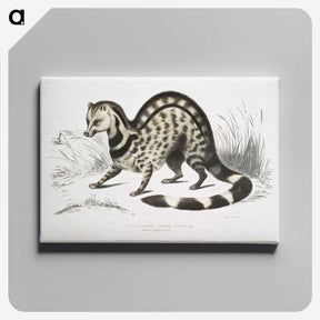 1-46_Indian-Zoology_canvas