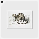 1-46_Indian-Zoology_hagaki