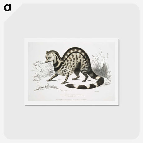 1-46_Indian-Zoology_hagaki
