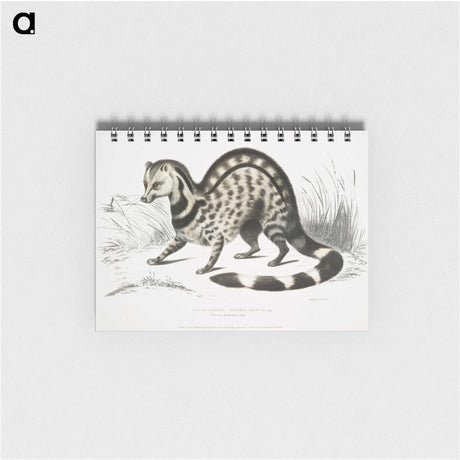 1-46_Indian-Zoology_memo