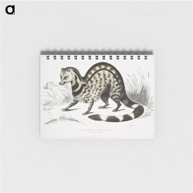 1-46_Indian-Zoology_memo