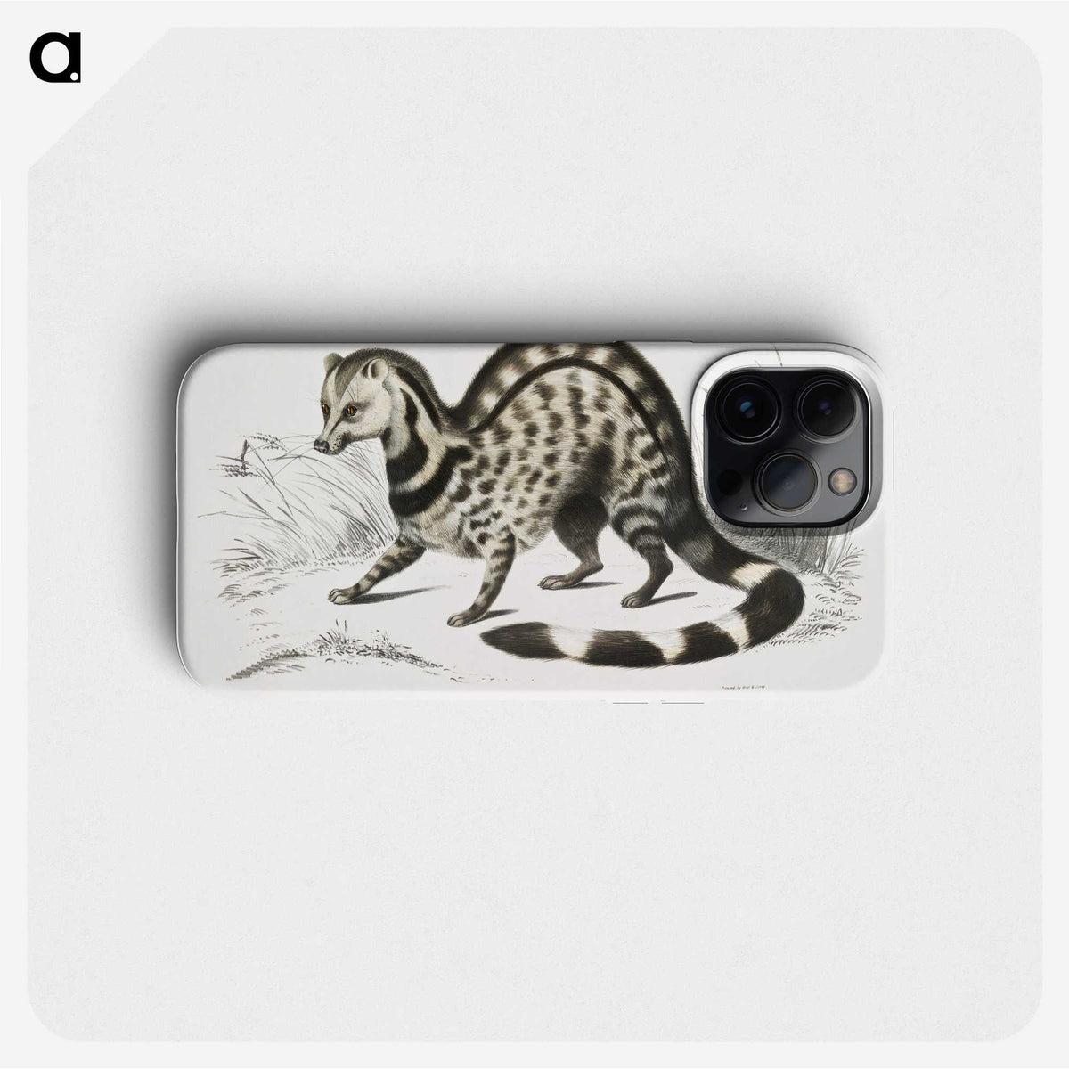 1-46_Indian-Zoology_phone