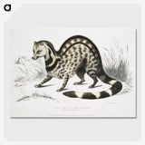 1-46_Indian-Zoology_picture-crop