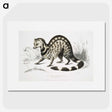 1-46_Indian-Zoology_picture