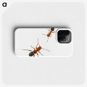 1-46_Insects-Unlocked-Project_phone