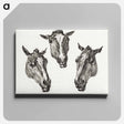 アートパネル-Three horse heads - ジャン ベルナール Canvas.
