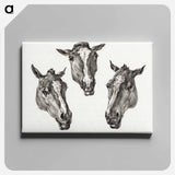 アートパネル-Three horse heads - ジャン ベルナール Canvas.