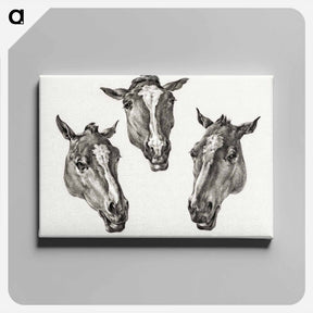 アートパネル-Three horse heads - ジャン ベルナール Canvas.
