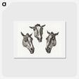 アートポストカード-Three horse heads - ジャン ベルナール Postcard.