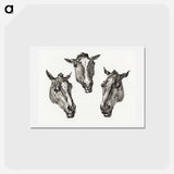 アートポストカード-Three horse heads - ジャン ベルナール Postcard.