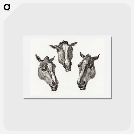 アートポストカード-Three horse heads - ジャン ベルナール Postcard.