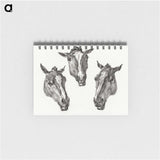 1-46_Jean-Bernard_memo