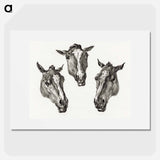 Three horse heads - Jean Bernard Poster.