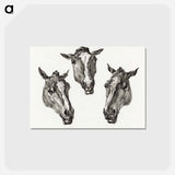 アートポストカード-Three horse heads - ジャン ベルナール Postcard.