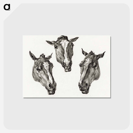 アートポストカード-Three horse heads - ジャン ベルナール Postcard.
