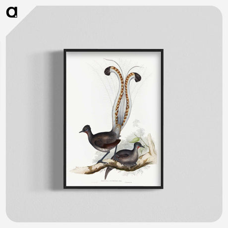1-46_John-Gould_blk-crop
