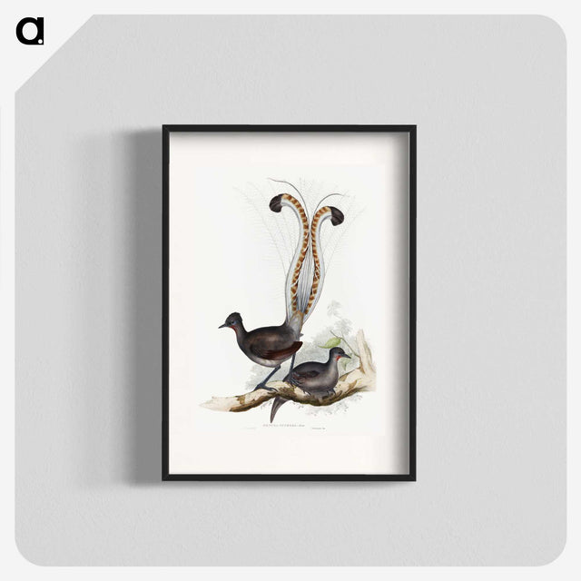 1-46_John-Gould_blk