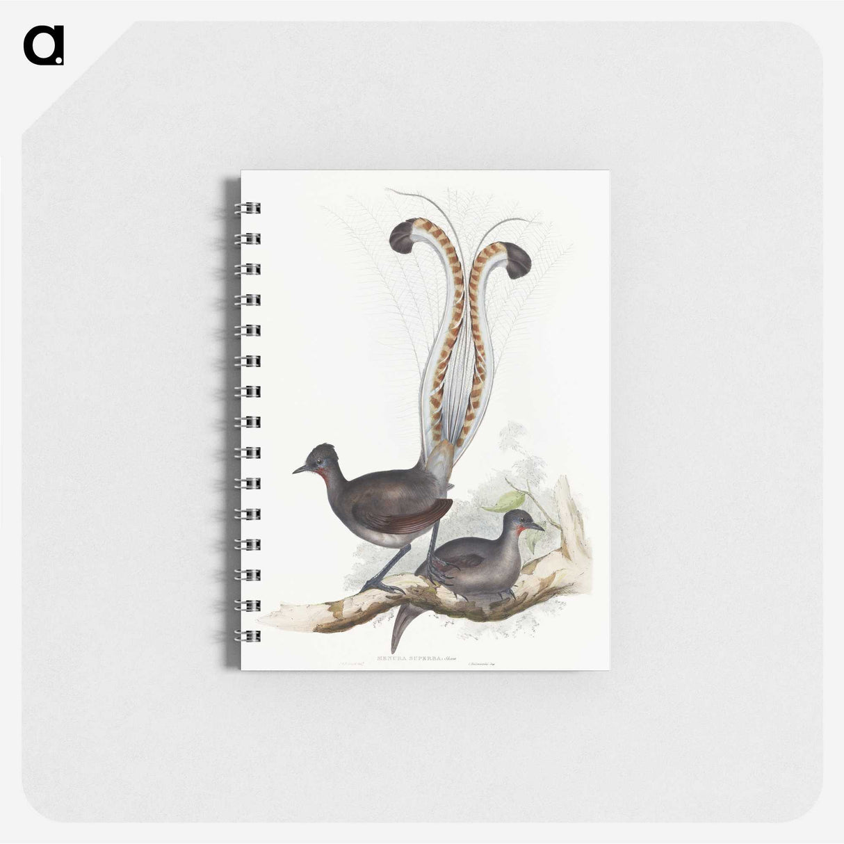 1-46_John-Gould_memo