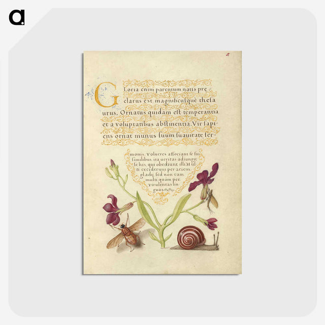 1-46_Joris-Hoefnagel_postcard