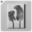 1-46_Karl-Blossfeldt_canvas