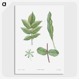 1-46_La-Botanique_picture-crop
