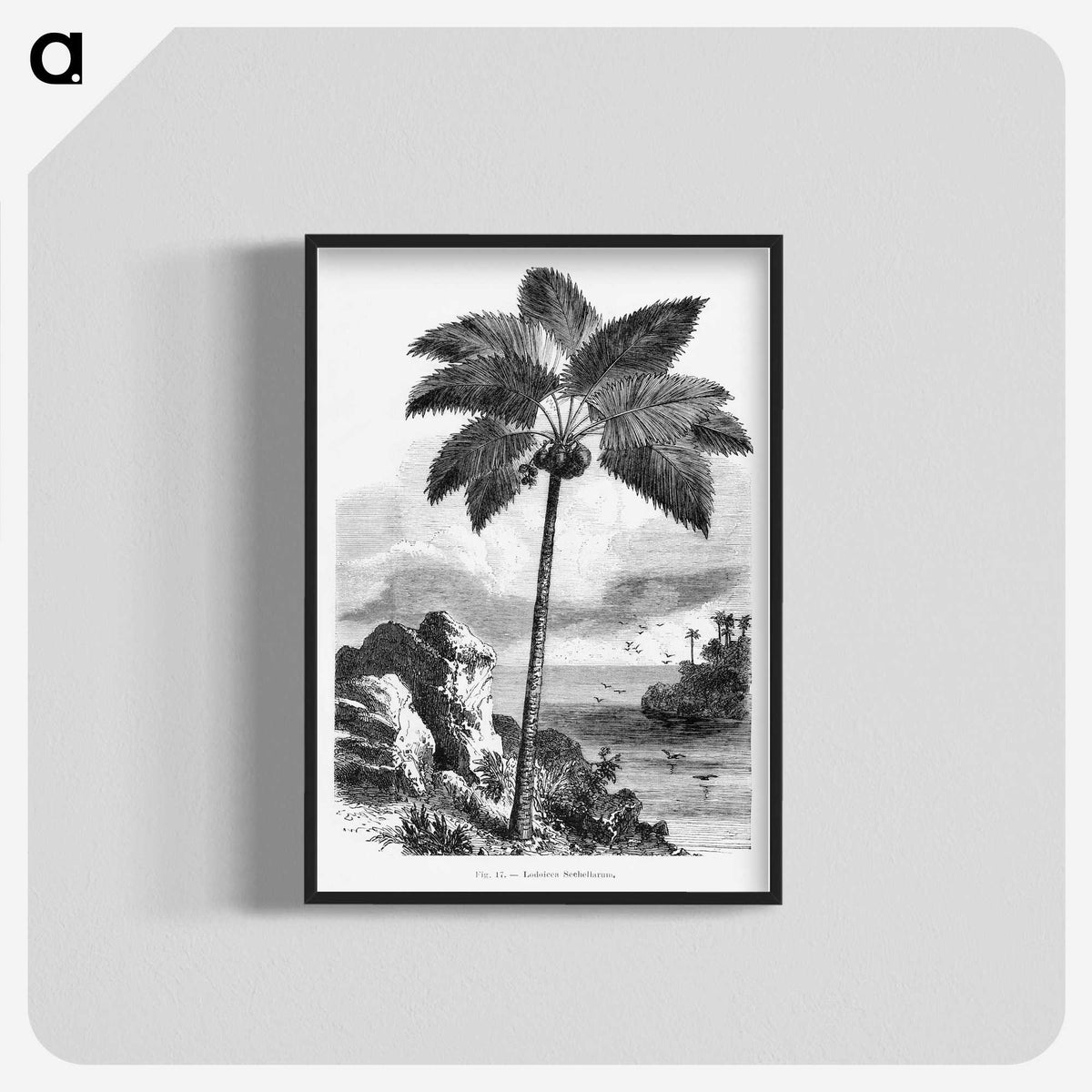 1-46_Les-Palmiers-Histoire-Iconographique_blk-crop