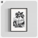 1-46_Les-Palmiers-Histoire-Iconographique_blk