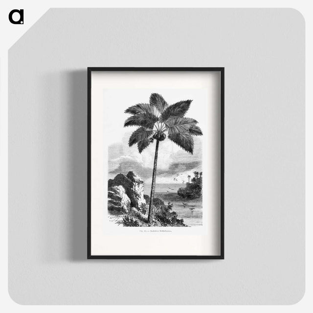 1-46_Les-Palmiers-Histoire-Iconographique_blk