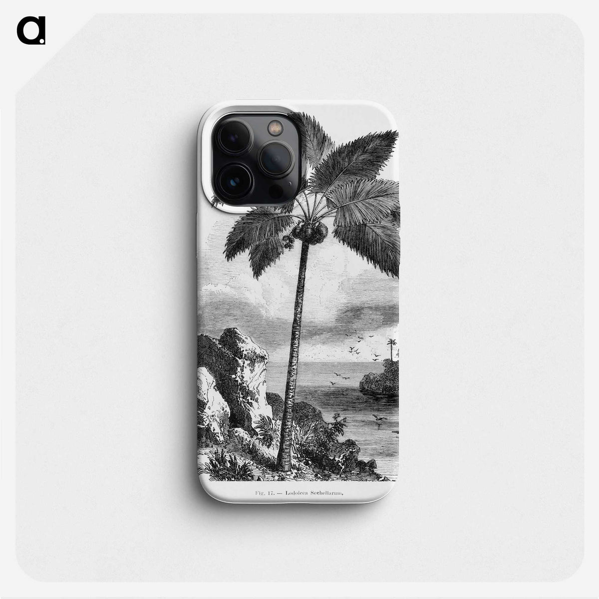 1-46_Les-Palmiers-Histoire-Iconographique_phone