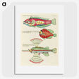 1-46_Louis-Renard_picture
