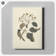 1-46_Luigi-Balugani_canvas