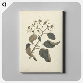 1-46_Luigi-Balugani_canvas