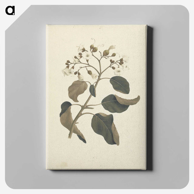 1-46_Luigi-Balugani_canvas
