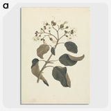 1-46_Luigi-Balugani_picture-crop