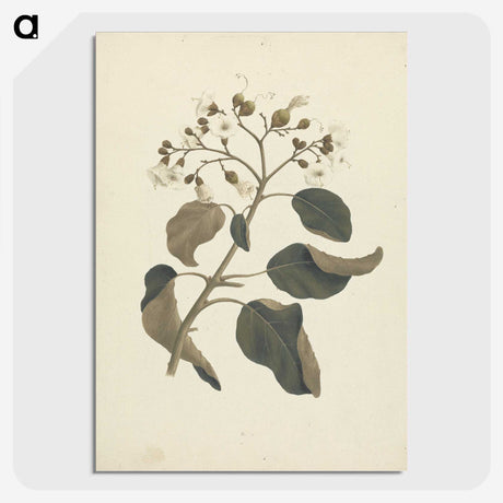 1-46_Luigi-Balugani_picture-crop