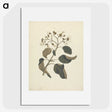1-46_Luigi-Balugani_picture
