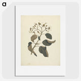 1-46_Luigi-Balugani_picture