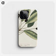 1-46_Mark-Catesby_phone