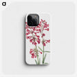 1-46_Mary-Vaux-Walcott_phone