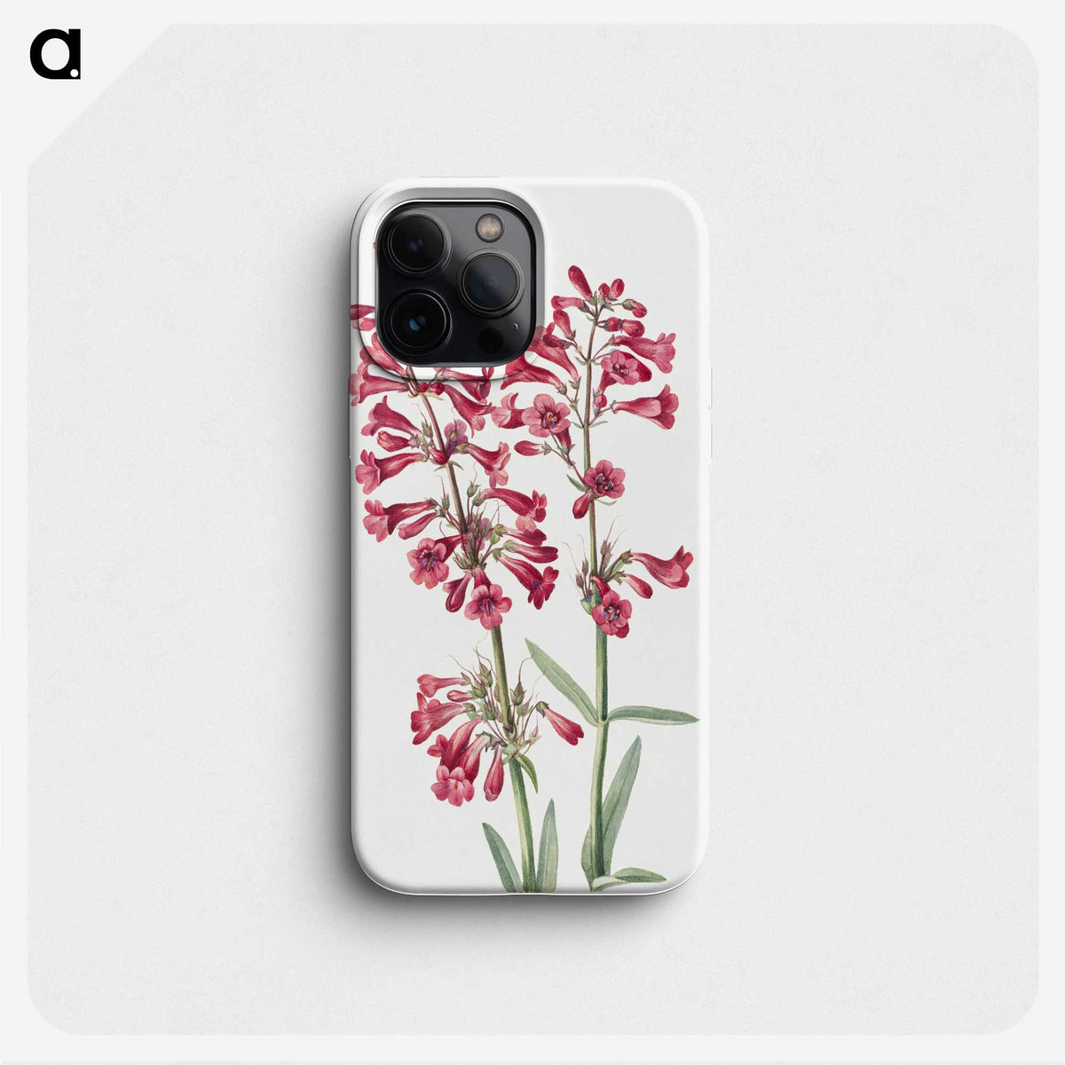 1-46_Mary-Vaux-Walcott_phone