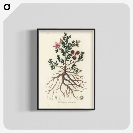 1-46_Medical-Botany_blk-crop
