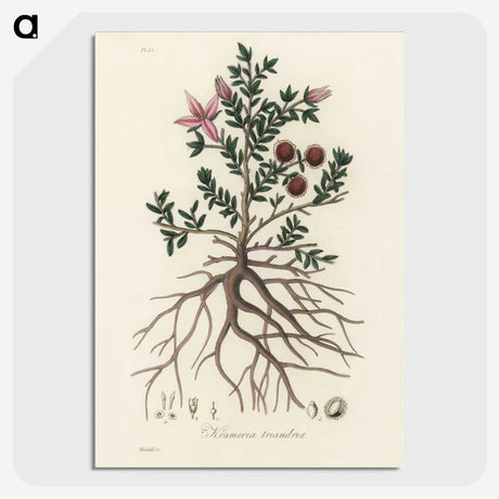1-46_Medical-Botany_picture-crop