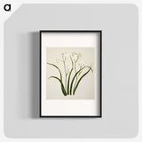 1-46_Native-Flowering-Plants-of-New-Zealand_blk