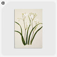 1-46_Native-Flowering-Plants-of-New-Zealand_postcard
