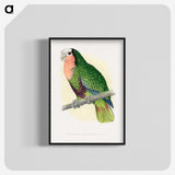 1-46_Parrots-in-Captivity_blk-crop