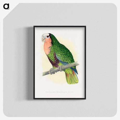1-46_Parrots-in-Captivity_blk-crop