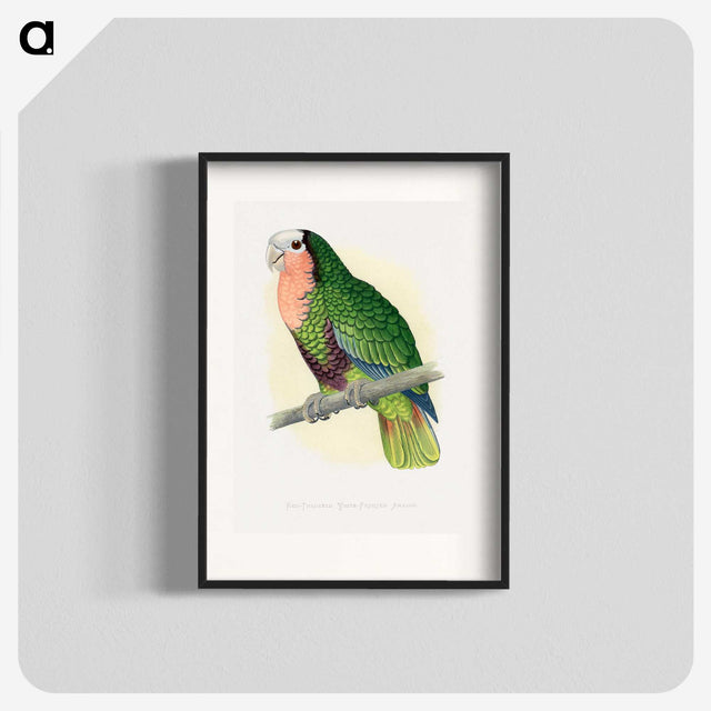 1-46_Parrots-in-Captivity_blk