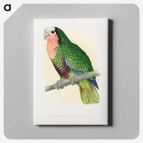 1-46_Parrots-in-Captivity_canvas