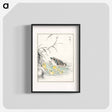 アートポスター-Duck Illustration
 - 鳥類図鑑 Poster.