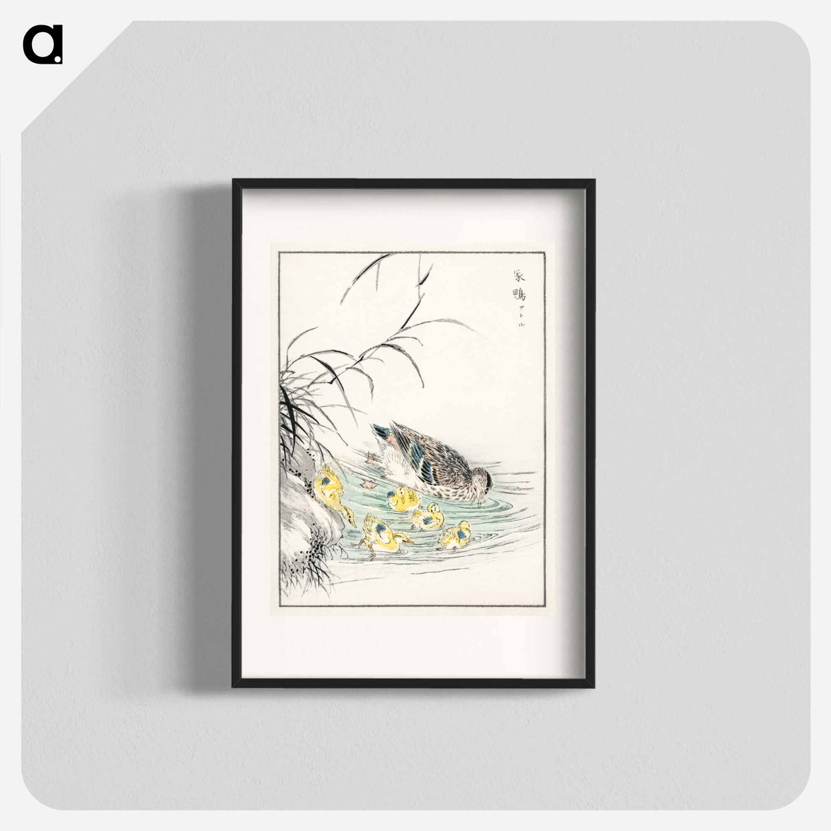 アートポスター-Duck Illustration
 - 鳥類図鑑 Poster.